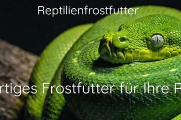 Futtertiere kaufen und verkaufen Foto: Hochwertiges Frostfutter für deine Reptilien