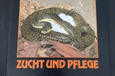 Snakes kaufen und verkaufen Photo: Bede Riesenschlangen Zucht & Pflege